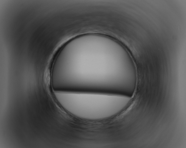 X0000088151509200705141041