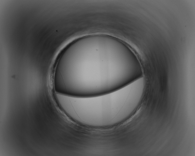 X0000088151510200705141041