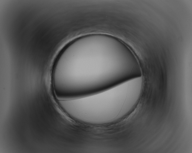 X0000088151511200705141041