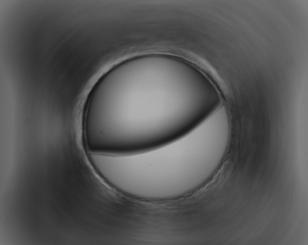 X0000088151512200705141041