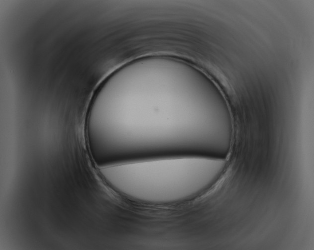 X0000088151513200705141041