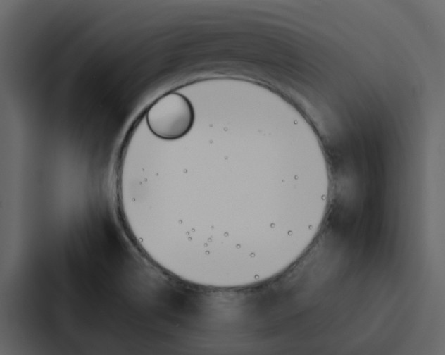 X0000088151514200705141041