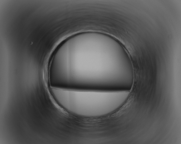X0000088151515200705141041