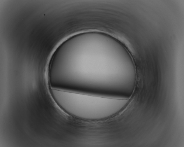 X0000088151516200705141041