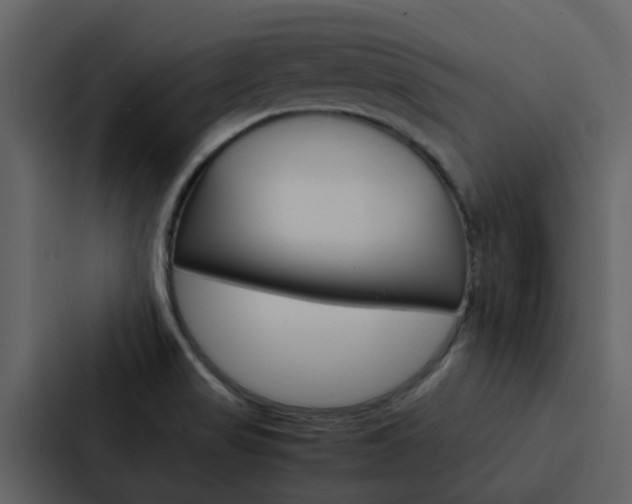 X0000088151517200705141041