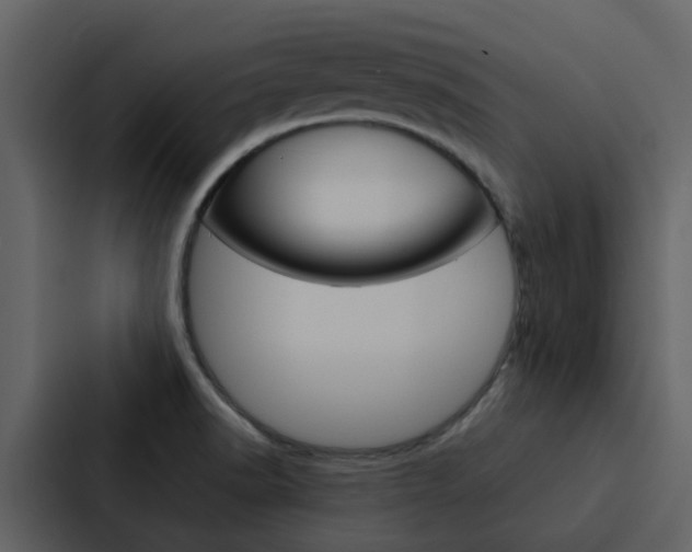 X0000088151518200705141041