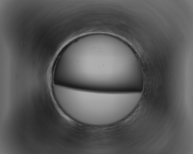 X0000088151519200705141041