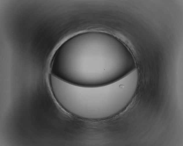 X0000088151520200705141041