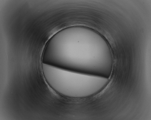 X0000088151521200705141041