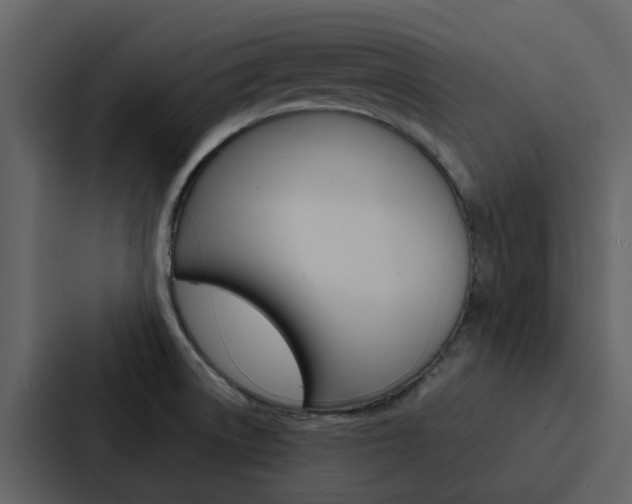 X0000088151522200705141041