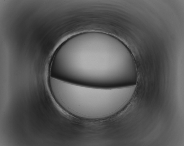 X0000088151523200705141041
