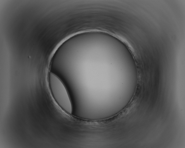 X0000088151524200705141041