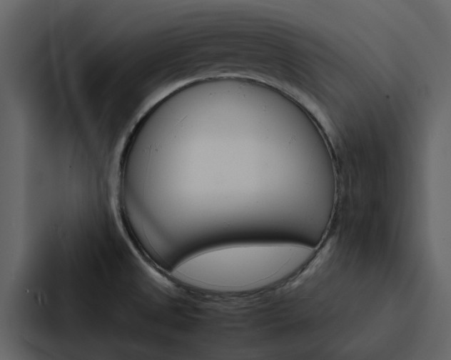 X0000088151525200705141041