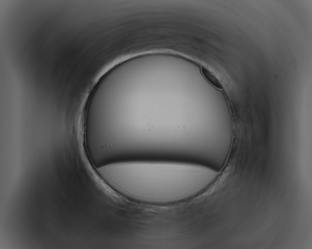 X0000088151526200705141041