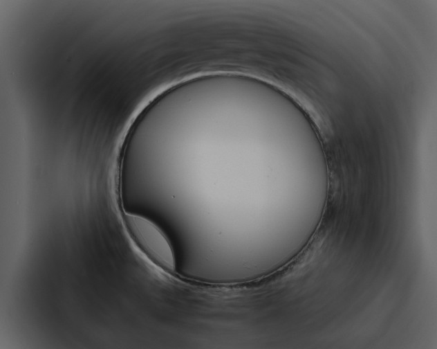 X0000088151527200705141041