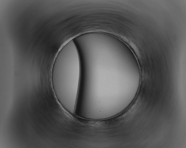 X0000088151529200705141041