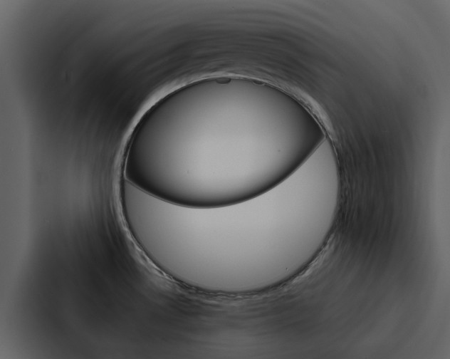 X0000088151530200705141041