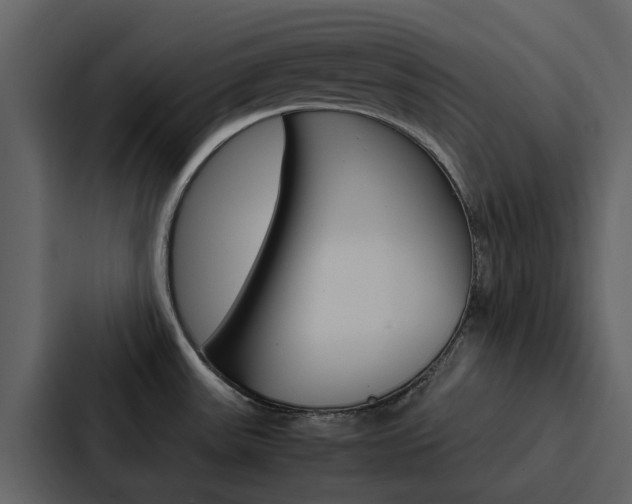 X0000088151531200705141041