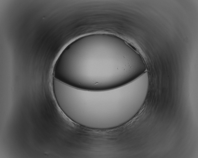 X0000088151532200705141041