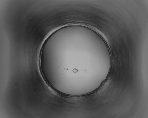 X0000088151533200705141041