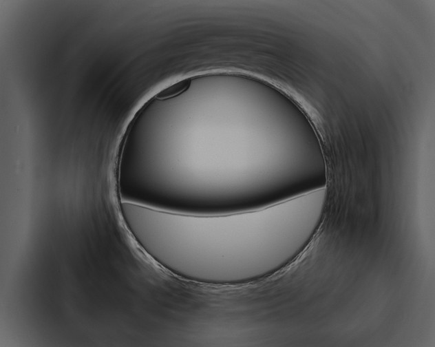 X0000088151534200705141041