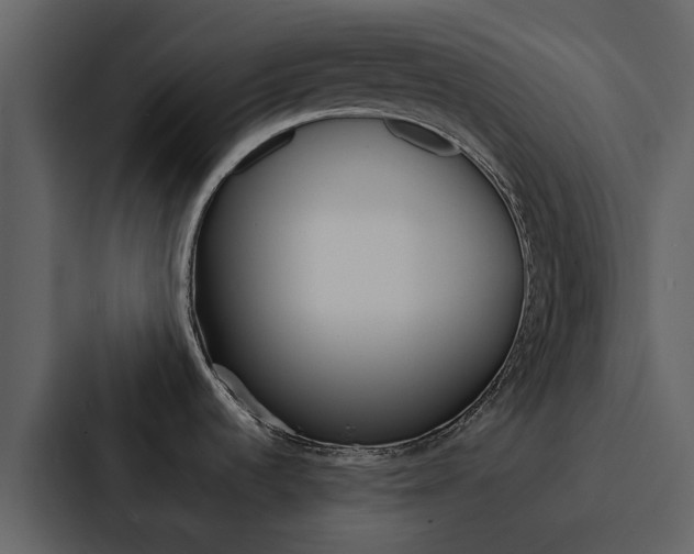 X0000088151536200705141041