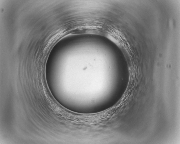 X0000088150001200705141600