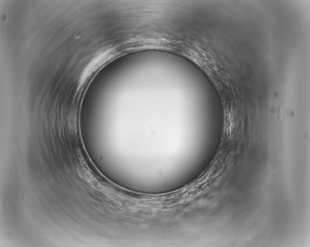 X0000088150004200705141600