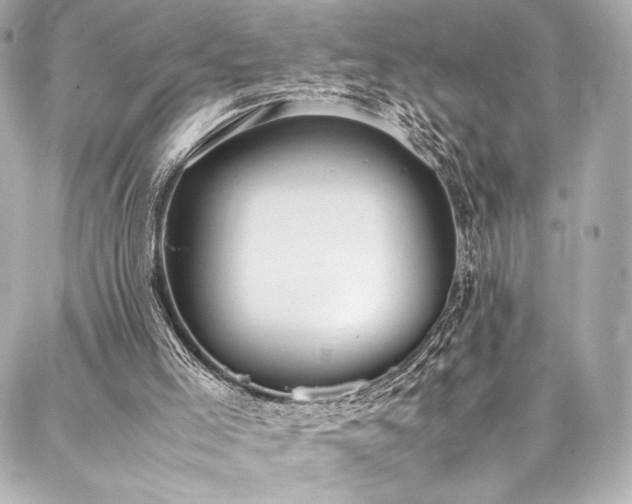 X0000088150005200705141600