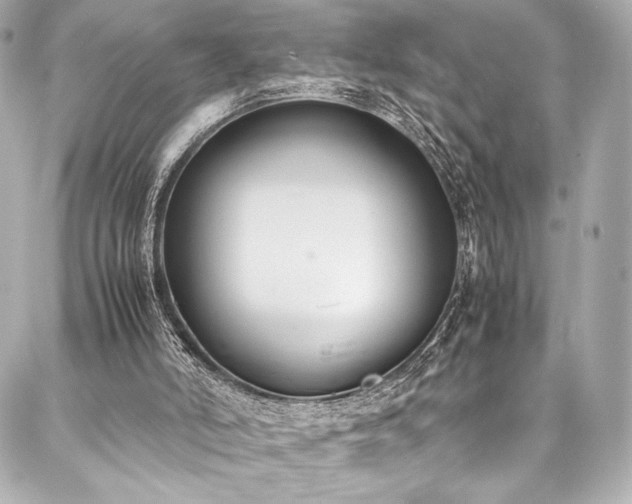 X0000088150006200705141600