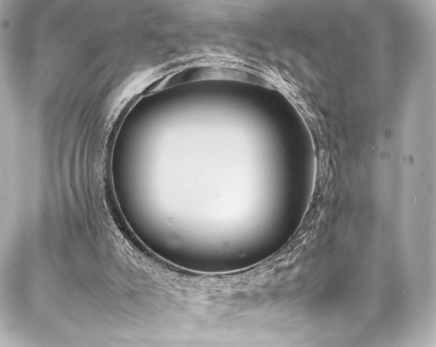 X0000088150007200705141600