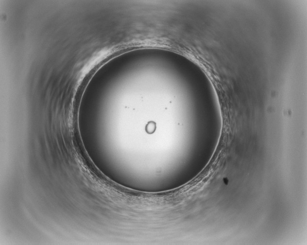 X0000088150008200705141600