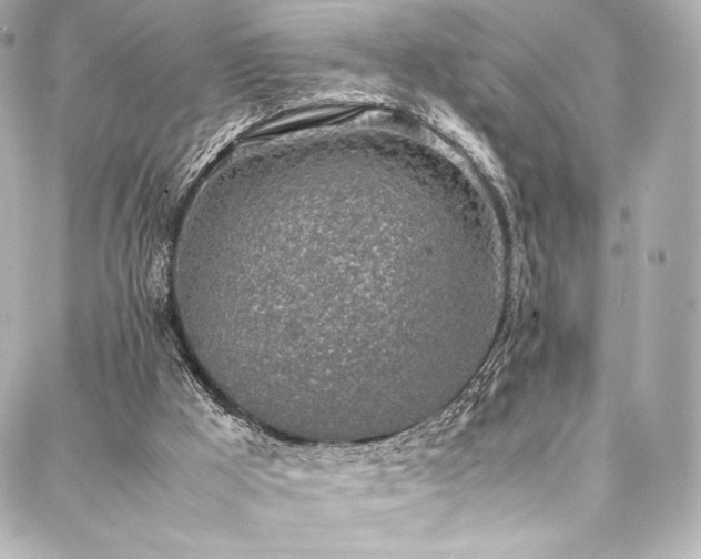 X0000088150009200705141600