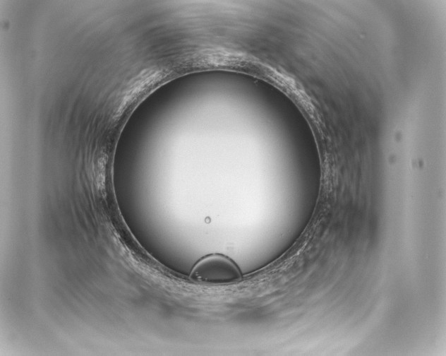 X0000088150010200705141600