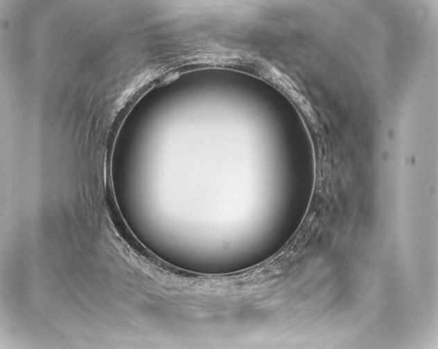 X0000088150011200705141600