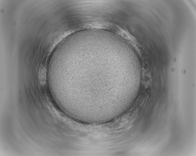 X0000088150012200705141600