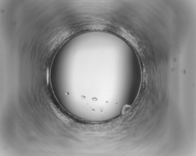 X0000088150013200705141600