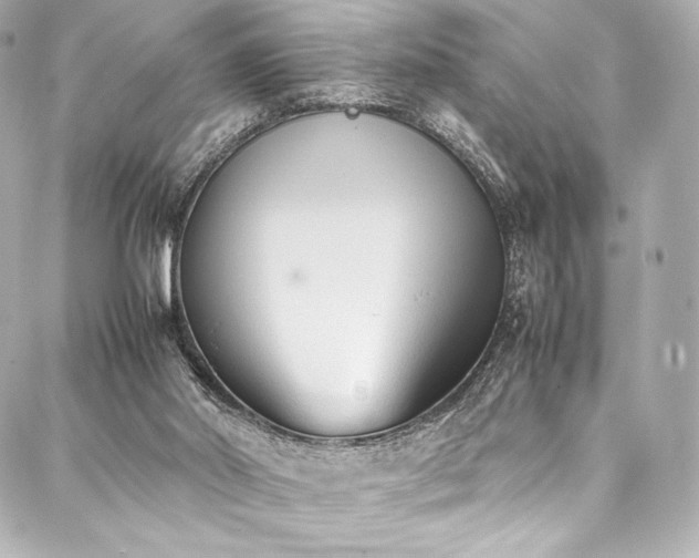 X0000088150014200705141600