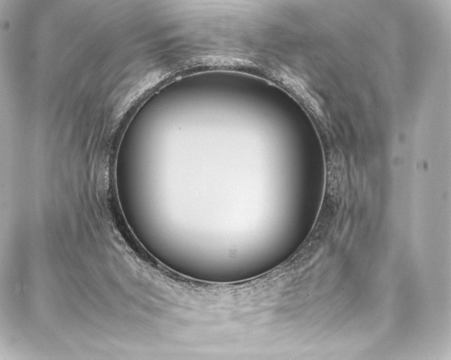 X0000088150015200705141600