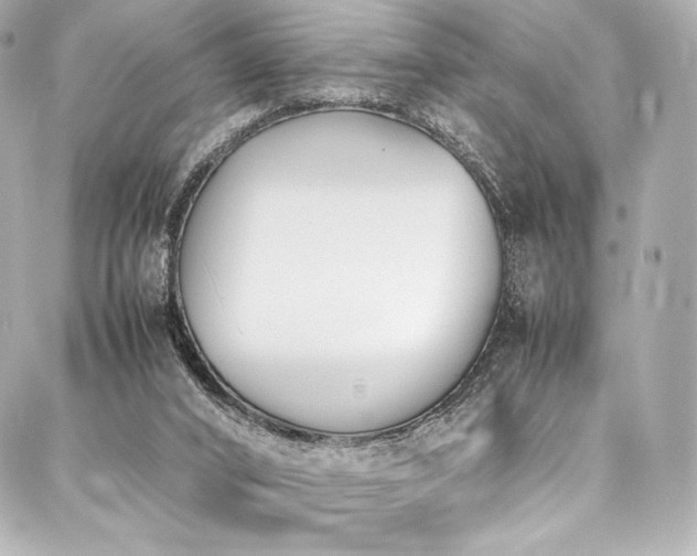 X0000088150016200705141600