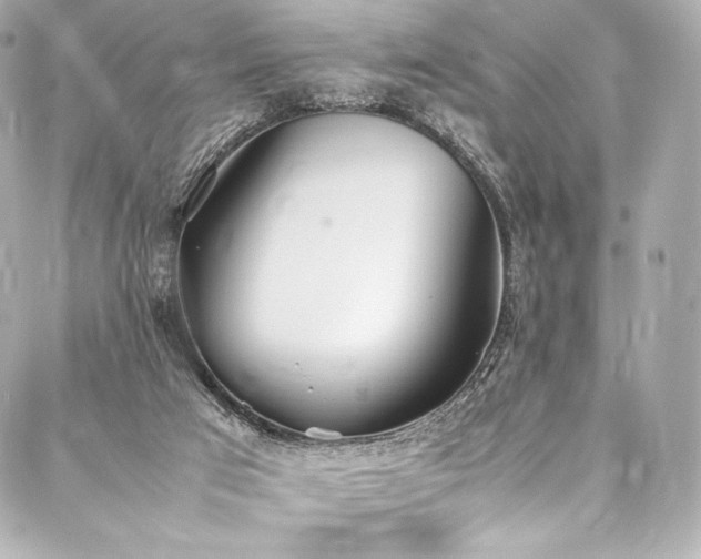 X0000088150017200705141600