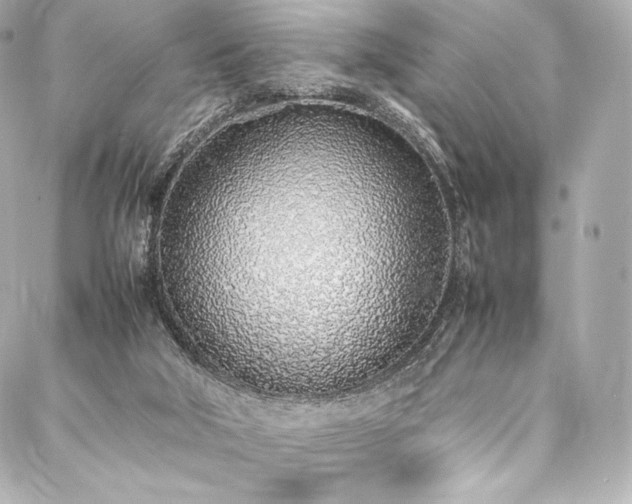 X0000088150018200705141600