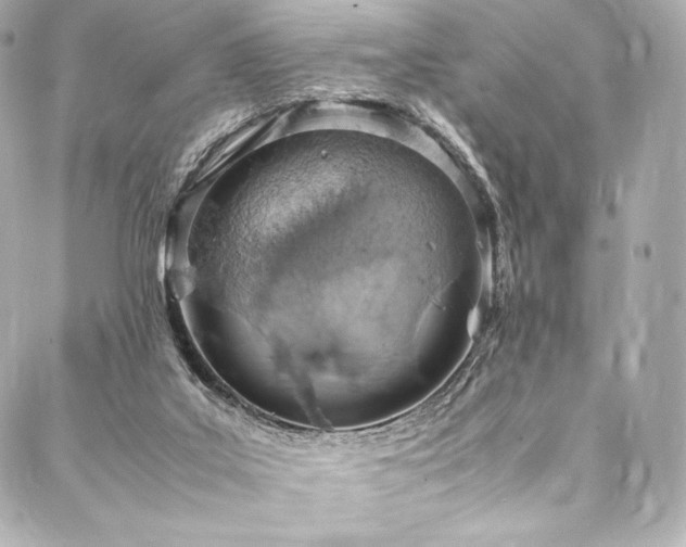 X0000088150019200705141600