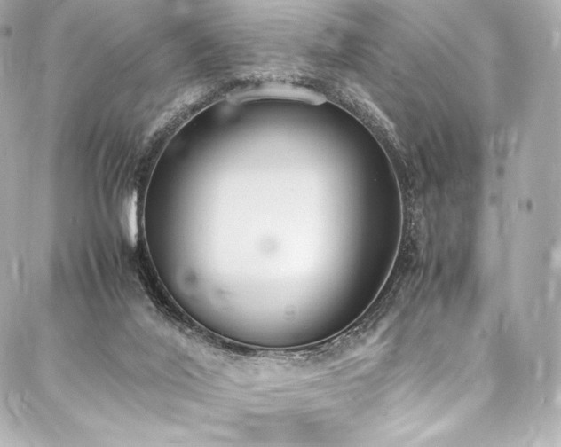 X0000088150020200705141600