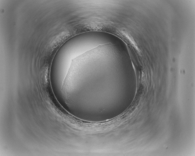 X0000088150023200705141600