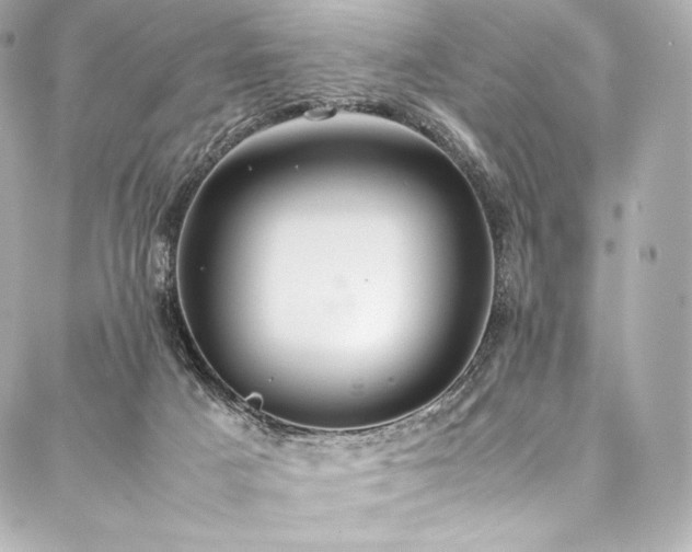 X0000088150025200705141600