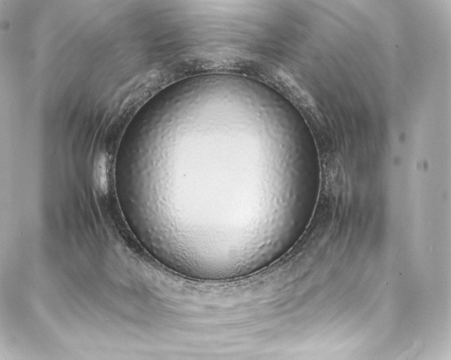 X0000088150026200705141600