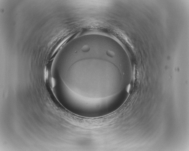 X0000088150027200705141600