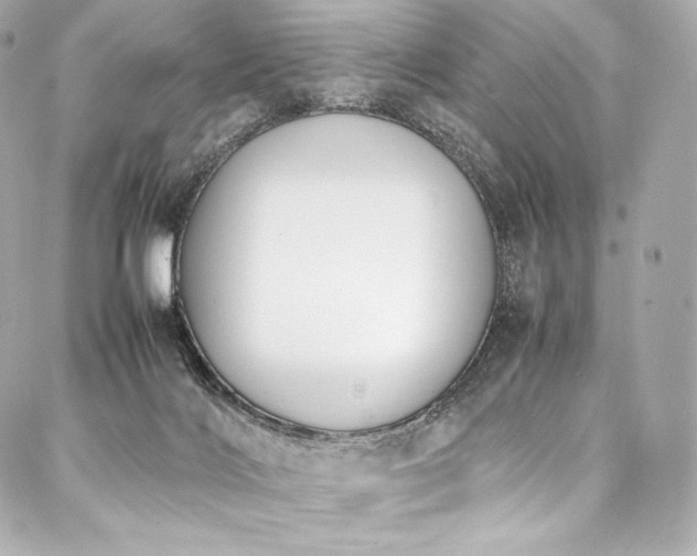 X0000088150028200705141600