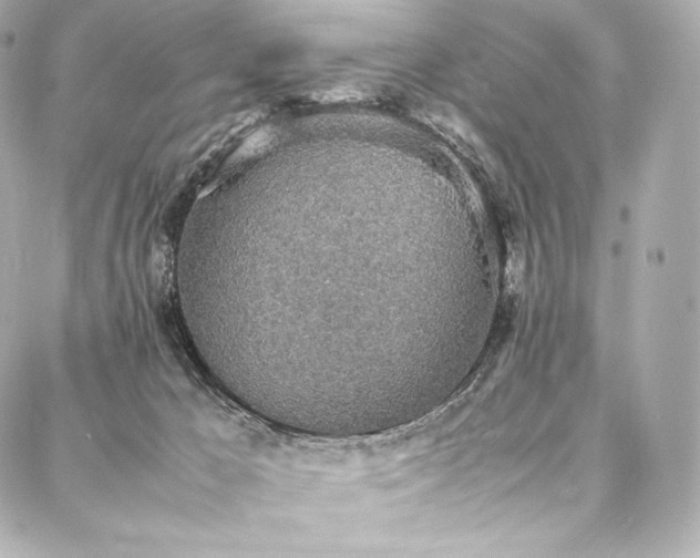 X0000088150029200705141600